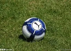 滇超联赛吉,祥物命名及,口号同步揭,678体育平台,678体育官方网站,678体育登录入口,678体育app下载