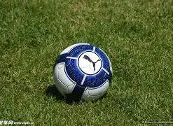 快船对决黄,篮球盛宴深,度解析,678体育平台,678体育官方网站,678体育登录入口,678体育app下载