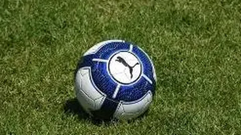 678体育 资讯 102241 277