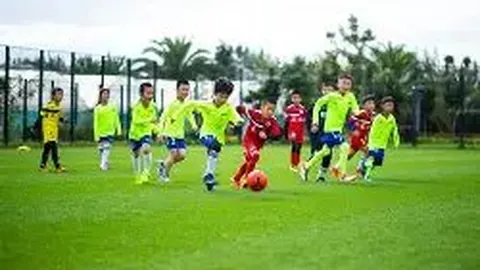 678体育 产品 093509 xz0