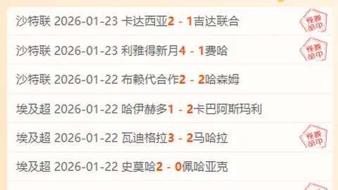 土耳其队2025年歐洲盃阵容正式公布